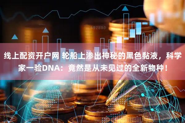 线上配资开户网 轮船上渗出神秘的黑色黏液，科学家一验DNA：竟然是从未见过的全新物种！