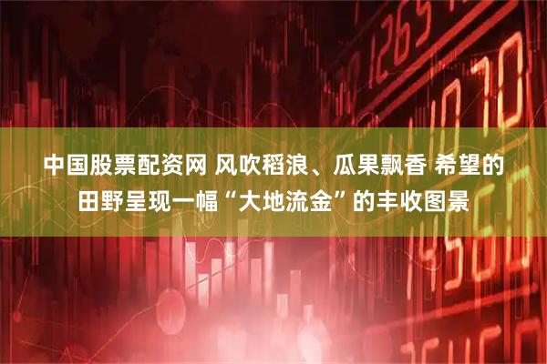 中国股票配资网 风吹稻浪、瓜果飘香 希望的田野呈现一幅“大地流金”的丰收图景