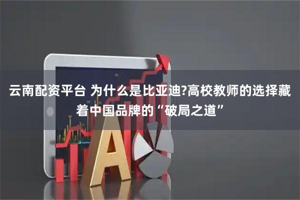 云南配资平台 为什么是比亚迪?高校教师的选择藏着中国品牌的“破局之道”