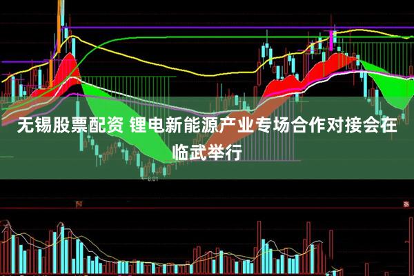 无锡股票配资 锂电新能源产业专场合作对接会在临武举行