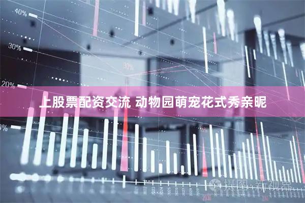 上股票配资交流 动物园萌宠花式秀亲昵